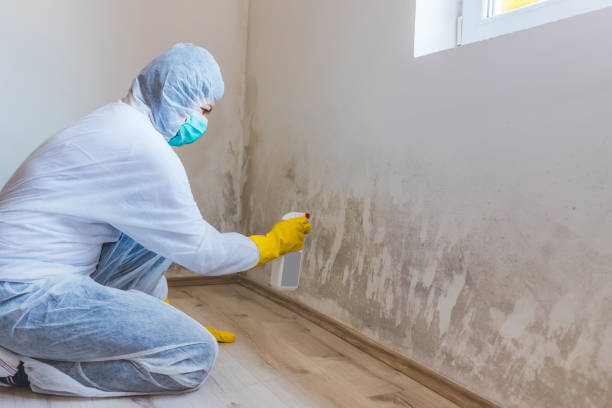 Crawl Space Mold Remediation treatment of floor joists in Little Falls